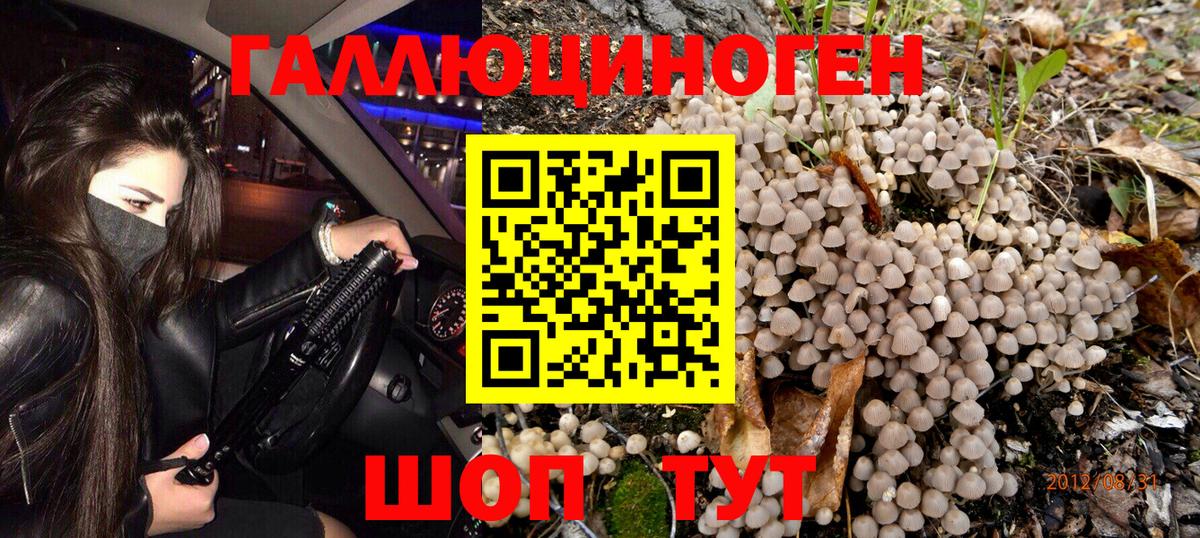 купить наркотик  Псилоцибиновые грибы Cubensis  Вход с VPN  Псилоцибиновые грибы MAGIC MUSHROOMS  Похвистнево 